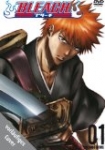 Bleach *german subbed*