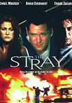 The Stray - Der Racheengel